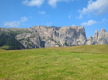 Randonnée Marche Kastelruth - Castelrotto - Schlern - Photo