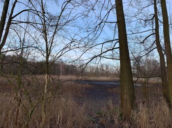 Tocht Te voet Vetschau/Spreewald - Wanderweg Tornitz-Muckwar-Luckaitz- - Photo