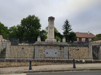 Tour Wandern Saint-Maur-des-Fossés - Le sentier de la bataille de Champigny  - Photo