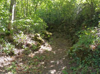 Trail Walking Aymavilles - la pinetta pont ael - Photo