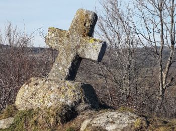 Randonnée Marche Murol - Lac Chambon - Murol - Puy de Bessolles - Photo