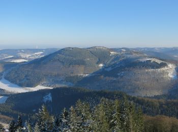 Tocht Te voet Bestwig - Bestwiger Panoramaweg - Photo