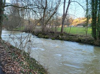 Tocht Stappen Arnaville - ARNAVILLE - LES AÏTRES MEDIEVAUX - Photo