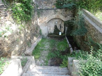 Tocht Te voet el Lloar - Vinyes a vista d'ocell - Photo