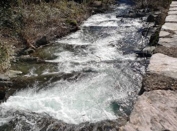 Excursión Senderismo Cabrespine - boucle du pas de l'aube - Photo