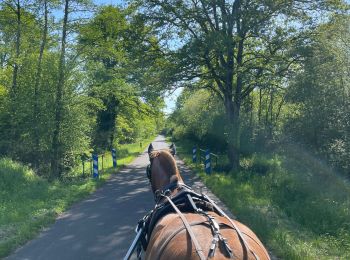 Randonnée sport Mur-de-Sologne - Route de Fontjouan - Photo