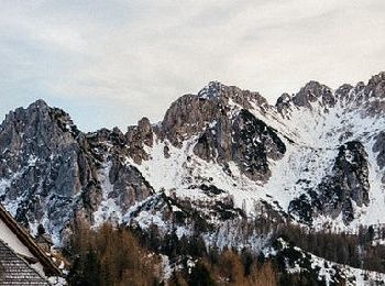 Trail On foot Tarvisio - IT-613 - Photo
