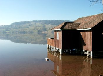 Tocht Te voet Aesch (LU) - Aesch - Hitzkirch - Photo