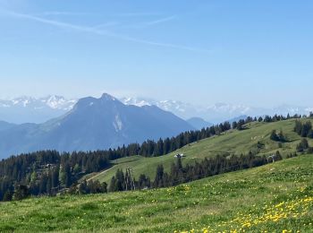 Tocht Stappen Leschaux - Semnoz - Photo