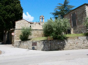 Percorso A piedi Passignano sul Trasimeno - Passignano - Poggio Belveduto - Photo