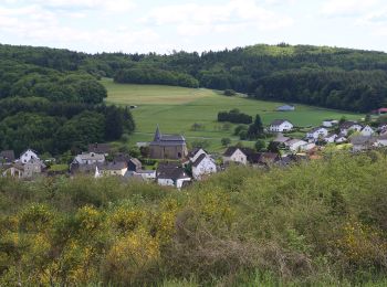 Percorso A piedi Bad Endbach - Wanderweg E11 / Berg und Tal - Photo