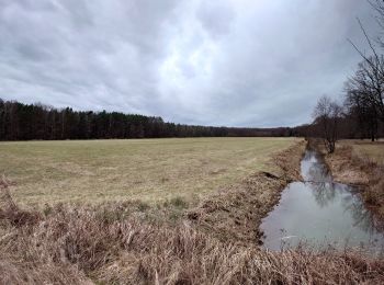 Trail On foot Torgau - Pflückuff-Benkenteich - Photo