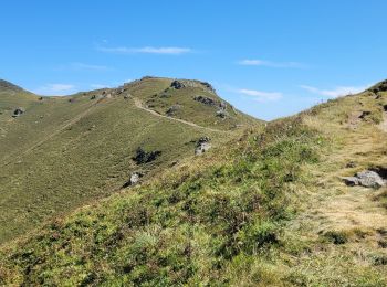 Excursión Senderismo Saint-Jacques-des-Blats - st Jacques les B plomb du cantal  - Photo