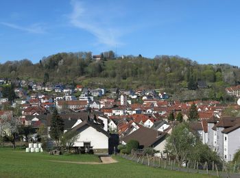 Tocht Te voet Flörsbachtal - Spessartbogen Zubringer Wiesbütt - Bad Orb - Photo