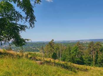 Tocht Stappen Durbuy - Le sentier botanique du mont des Pins - Photo