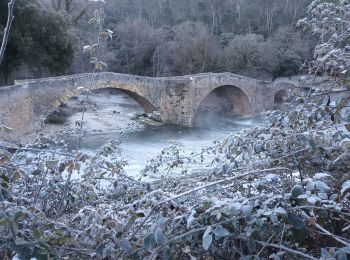 Randonnée Marche Vins-sur-Caramy - Vins sur Caramy-12-01-22 - Photo