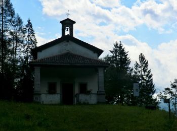 Trail On foot Forni di Sotto - IT-378 - Photo