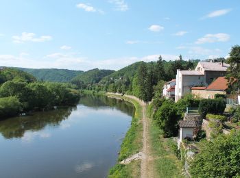 Percorso A piedi Zbečno - [Z] Písky - Zbečno - Photo