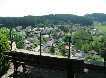 Tocht Te voet Bodnegg - Rundwanderweg 2 der Gemeinde Bodnegg - Photo