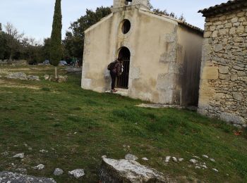 Tour Wandern Sivergues - de Sivergues à Buoux - Photo