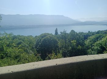 Excursión Bici de carretera Vimines - col de l'épine, saint jean de chevelu, le tunnel du chat  - Photo