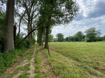 Tour Wandern Huldenberg - Pecrot 22 km - Photo