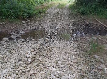 Excursión Bicicleta híbrida Marnay-sur-Seine - Marnay bis - Photo