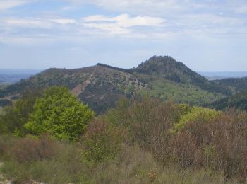 Randonnée A pied Saint-Ours - Les Puys Chopine et des Gouttes - Photo