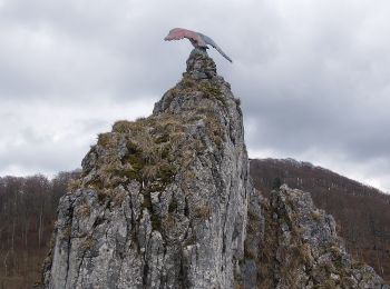 Tocht Te voet Bad Grund - Herbstlaubweg - Photo