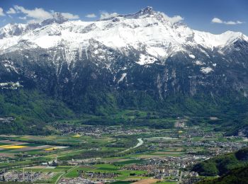 Trail On foot Vionnaz - Torgon village - Chalet de Blancsex - Photo