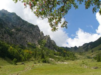 Excursión A pie Gemeinde Walchsee - Schlechinger Wanderweg 84 - Photo