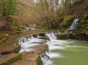 Tocht Te voet Epfendorf - Schlichemklammweg - Photo