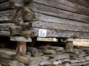 Tour Zu Fuß Pomatt - (SI E62) Rifugio Eugenio Margaroli all'Alpe Vannino - Bosco Gurin - Photo