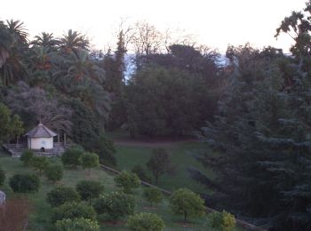 Tour Zu Fuß Arenzano - Sentiero degli Inglesi (Arenzano - Curlo) - Photo