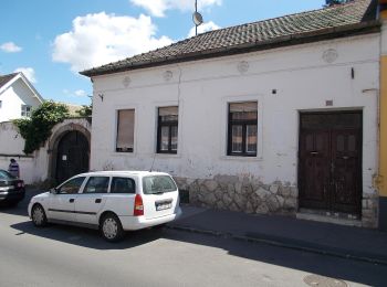 Tour Zu Fuß Sankt Andrä - ST Bükkös-patak tanösvény - Photo