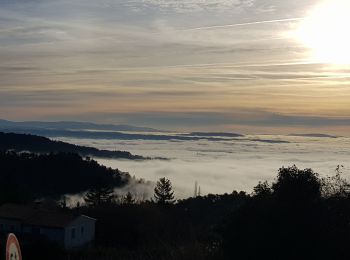 Randonnée Marche Montfuron - Montfuron à Villemus, variante.  - Photo