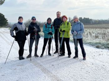 Tocht Noords wandelen Eulmont - MN 221210 - Photo