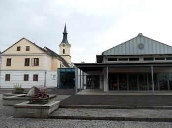 Tocht Te voet Wilhering - Sternweg Dörnbach-Linde - Photo