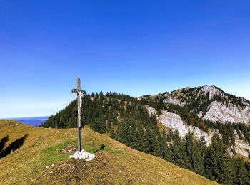 Percorso A piedi Bad Feilnbach - BF8 - Gipfelstürmer - Photo