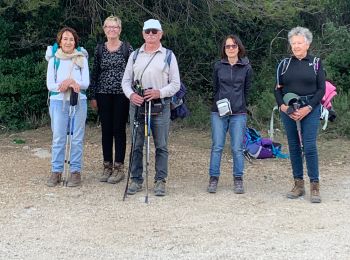 Excursión Senderismo Cuges-les-Pins - Le col de l’ange  - Photo