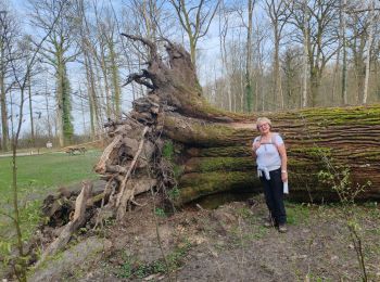 Tour Wandern Boult-aux-Bois - Projet AA Boult aux bois 