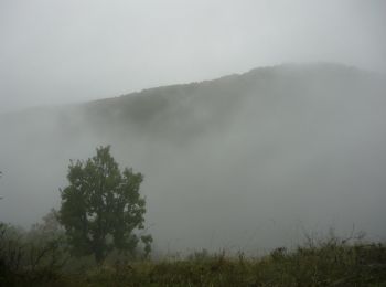 Percorso A piedi Szokolya - K■ (Börzsönyi Kék-Nagy-Hideg-hegy) - Photo