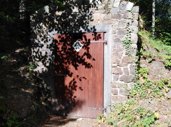 Tocht Stappen Saint-Hubert - mirwart - Photo