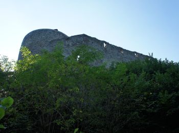 Excursión A pie Gemeinde Zöbern - Zöbern - Zöberner Au - Heißenberg - Winkelbauer - Photo