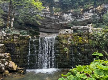 Tour Wandern La Chaux-du-Dombief - La cascade du Saut-Girard à La Chaux-du-Dombief - Photo