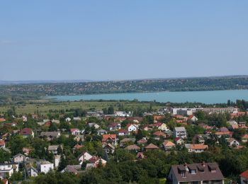 Tocht Te voet Balatonalmádi - S▲ (Felsőörs-Balatonalmádi út - Csere-hegy, Szabadság-kilátó) - Photo