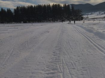 Randonnée Marche Autrans-Méaudre en Vercors - 38 Autrans neige - Photo