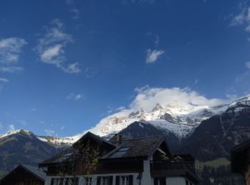 Randonnée Course à pied Champéry - Mieux en Mieux - Photo