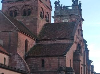 Tocht Stappen Neuwiller-lès-Saverne - Neuwiller Les Saverne /Château Hunebourg - Photo