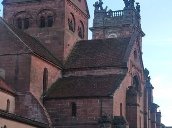 Tour Wandern Neuweiler - Neuwiller Les Saverne /Château Hunebourg  - Photo